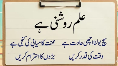 Educational Urdu calligraphy image for kids showing simple learning and moral sentences